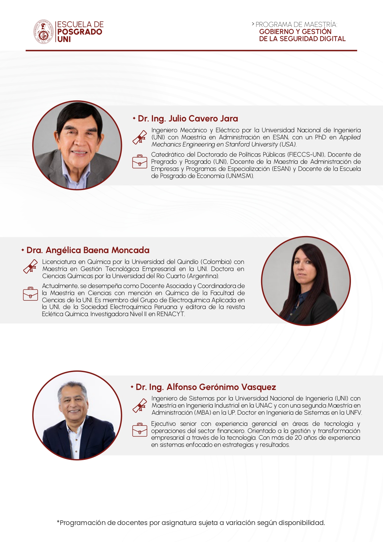 BROCHURE MGSD UNI 2026 II DOCENTE2
