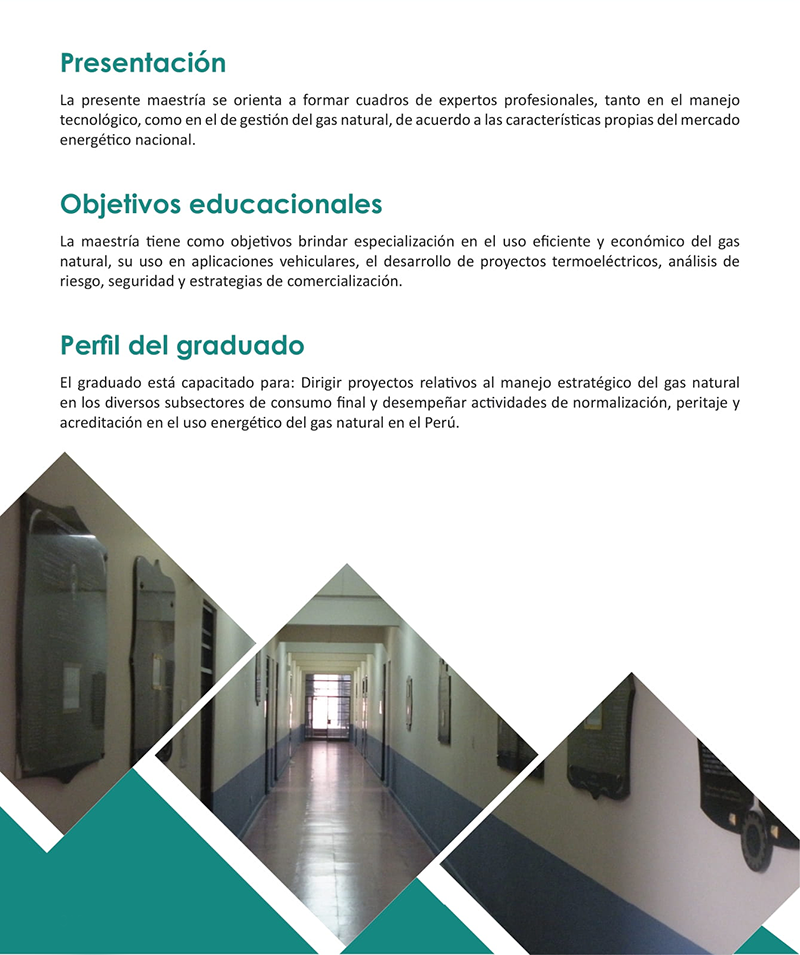 catalogo 312web